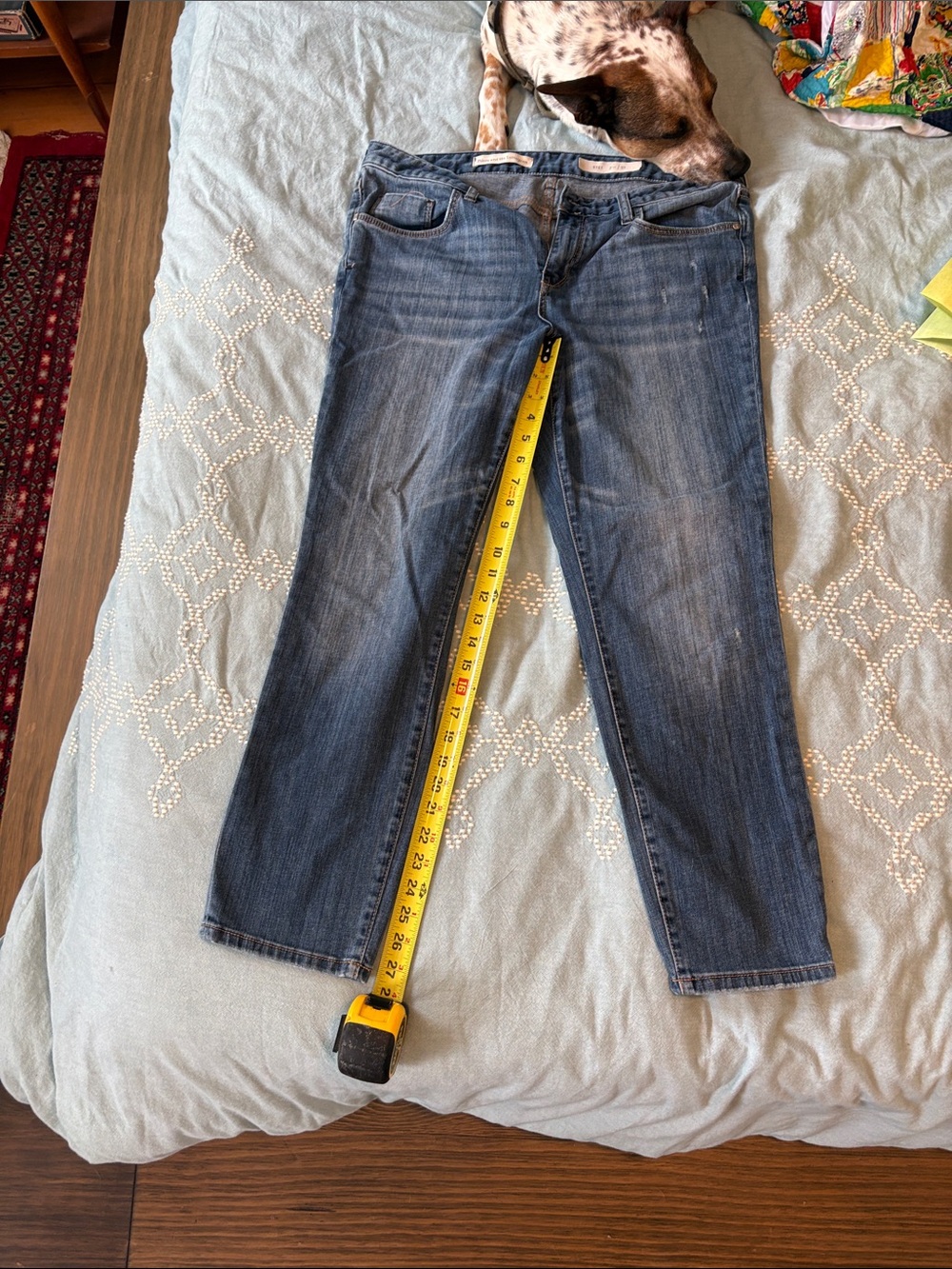 Pilcro and the Letterpress Stet straight leg jeans - Picture 5 of 10